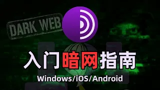 【黑暗网络】最详细进入暗网方法大全，互联网中的罪恶都市，什么是暗网？暗网有多恐怖？Tor网络和黑暗网站的区别|dark web，windows/mac/linux/ios/android进入洋葱网络