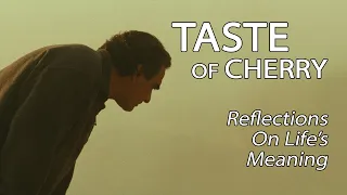 Taste Of Cherry - Reflections On Life's Meaning