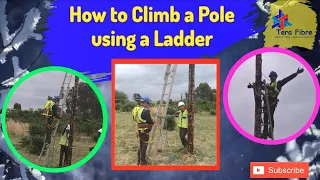 How to Climb a Pole using a Ladder