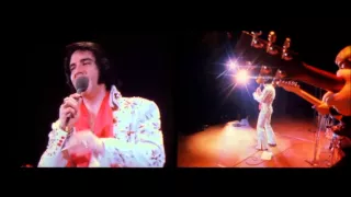Burning Love - Elvis Presley (1972)