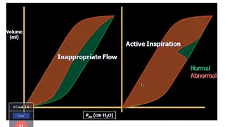 Loops Basic Concepts | Dr. Pradeep Rangappa