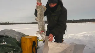 ДВЕ НОЧИ В ПАЛАТКЕ. ОШИБКА СТОЯЩАЯ ТРОФЕЯ. ЖЕРЛИЦЫ СПУСТЯ 4 ДНЯ.