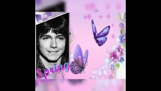 David Cassidy Tribute  - When You Tell Me That You Love Me