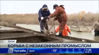 Рыбный промысел предлагают перевести в цифровой формат