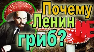 ПОЧЕМУ ЛЕНИН-НЕ ГРИБ!ВСЯ ПРАВДА!!!