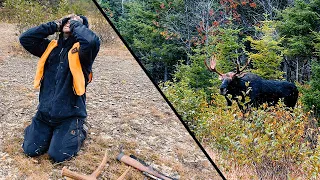 L'orignal du dernier instant sur la Réserve Faunique de Matane - Roadhunt Saison 4 - Épisode 9