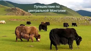 7 дней по Центральной Монголии