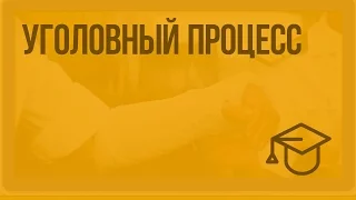 Уголовный процесс. Видеоурок по обществознанию 10 класс