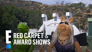 Kermit the Frog & Miss Piggy Are No Longer Dating | E! Red Carpet & Award Shows