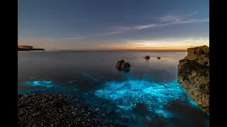 Bioluminescent Plankton and Noctilucent Clouds on the Isle of Anglesey, North Wales