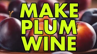 Plum Perfect: Brew Wine Like a Pro!