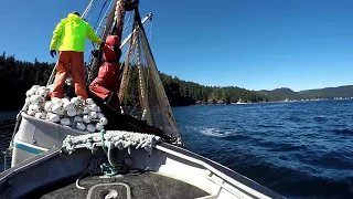 A Nice Set! - Kodiak Salmon Flare Opener at Inner Kitoi