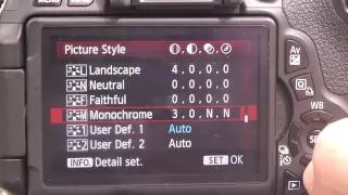 Canon 600D T3i best DSLR movie settings