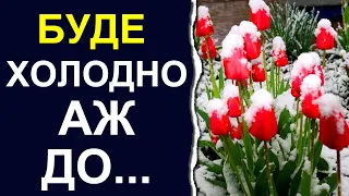 Коли в Україні припиняться морози: Погода у березні 2024