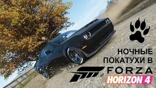 Forza Horizon 4 (21:9) - ночь, руль, дорога