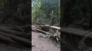 HLC Line  Duthie Hill #mountainbike #mtb #pnw #bike #jump