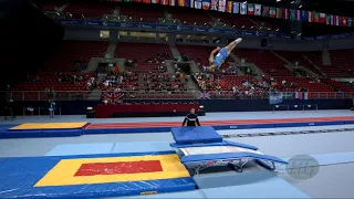 AQUINO Bernardo (ARG) - 2017 Trampoline Worlds, Sofia (BUL) - Qualification Double Mini Routine 1