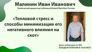 26.04 Малинин Иван Иванович «Тепловой стресс и способы минимизации его негативного влияния на скот»