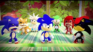 If Sonic was in Sonic Skit House RPG