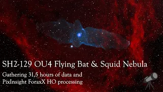 SH2-129 OU4 Flying Bat & Squid Nebula - 31,5 hours of data and PixInsight ForaxX HO processing