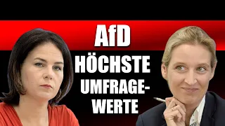 Baerbock stinksauer: AfD überholt die Grünen!