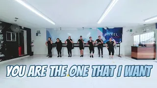 YOU'RE THE ONE THAT I WANT / #GREASE / ZUMBA / CHOREOGRAPHY /COREOGRAFIA/ BAILE ACTIVO/JOHN AGUILERA