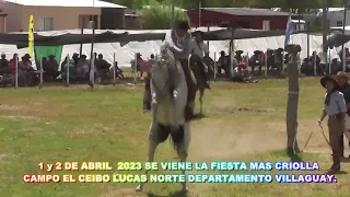 programa 563 fiesta de Bernardi y cartelera de espectáculo  #charreada #jaripeo  # horse videos