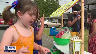 Thieves take money from child's lemonade stand | FOX 13 Seattle