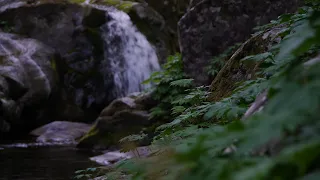 [4K] 깊은 계곡, 흐르는 물소리와 새소리에 마음이 편안해 집니다. heart of mountain valley, water and bird song sound