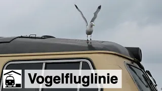 Hasta la vista, Vogelfluglinie. [Bahnstrecke Lübeck–Neustadt–Fehmarn–Puttgarden 2022]