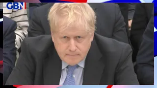 Boris Johnson insists he did not lie to MPs about his knowledge of partygate