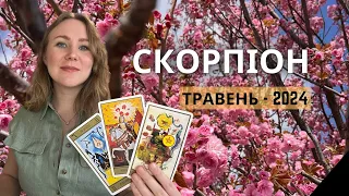 [СКОРПІОН] Травень 2024 | Таро Порада ✨