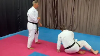 1st 4 actions of Seipai kata