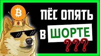 🔴 ЧТО Я ЖДУ В БЛИЖАЙШИЕ НЕДЕЛИ??? | Биткоин Прогноз Новости | Bitcoin BTC 2021