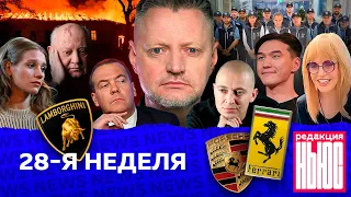 Редакция. News: 28-я неделя