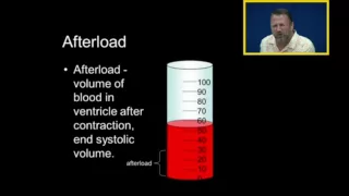 Preload Afterload and Cardiac Output