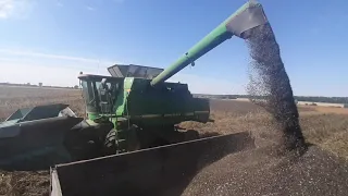 Уборка соняха СУЗУКА  John Deere 9600 .