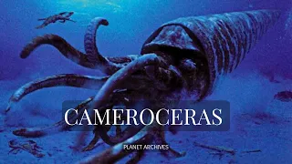 Cameroceras "one of the largest creatures of its time." #prehistoricanimals