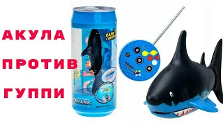 Акула охотится за аквариумными рыбками. MINI SHARK