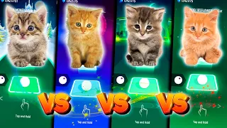 CUTE CATS Lisa Money VS Shakira Waka Waka VS Jisoo Flower VS Blackpink Solo - Tiles Hop Edm Rush