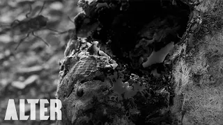 Horror Short Film "Outer Darkness" | ALTER | Online Premiere