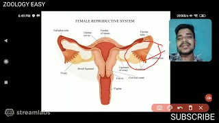 HUMAN REPRODUCTION (PART-7)// 12th CLASS// +2 SCIENCE// NCERT// CBSE// CHSE// NEET // OUAT// AIIMS