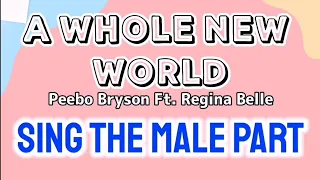 A WHOLE NEW WORLD KARAOKE FEMALE PART ONLY Peebo Bryson