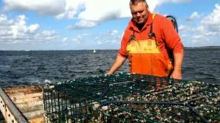 YE9     Kreeften vangen op de oosterschelde.