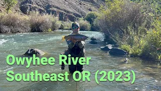 Owyhee River Browns & Bows (2023)