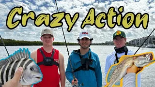 CRAZY WINTER INSHORE CATCHES (Shark, Trout, Sheepshead, Snapper, AND MORE!