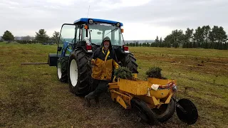 Hadley Christmas trees Planting video