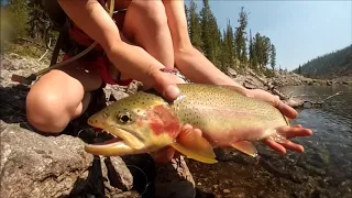 Fishing and Managing Idaho Alpine Lakes