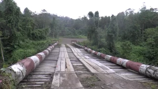 Borneo   Danum Valley   Borneo Rainforest Lodge #9 Old Bridge   15 May 2017