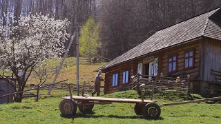 Mountains Beyond Civilization: Unique Story of Finding Happiness In a Rural Village